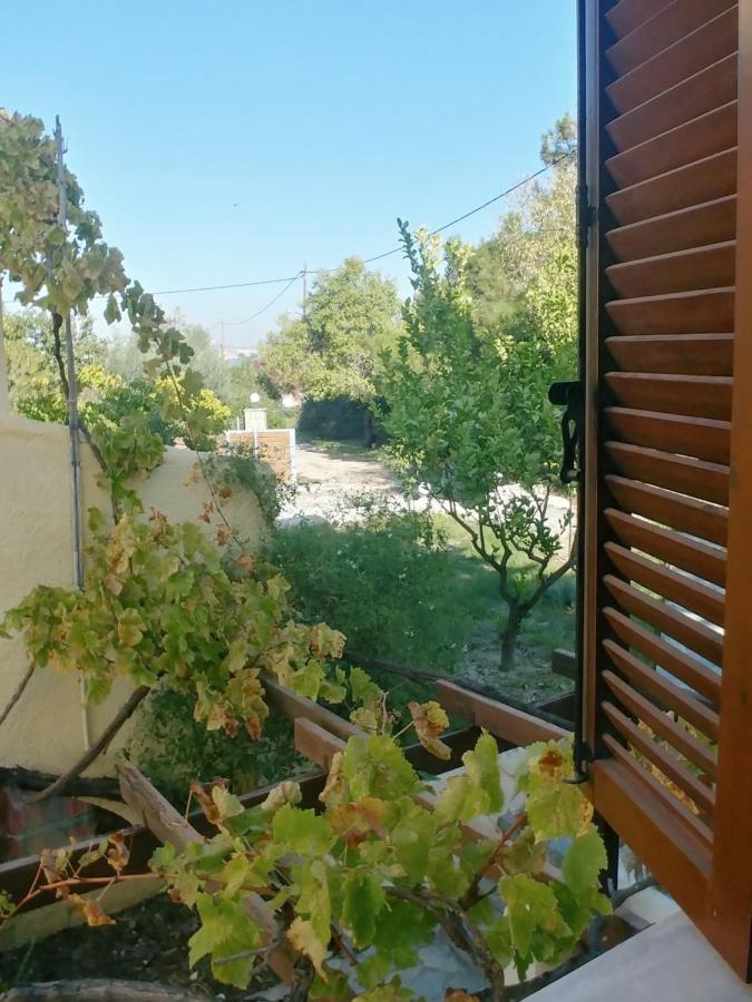 Ζini 2 Villa Kéfalos Exteriör bild