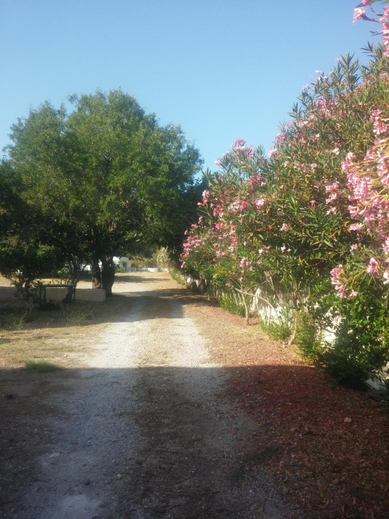 Ζini 2 Villa Kéfalos Exteriör bild